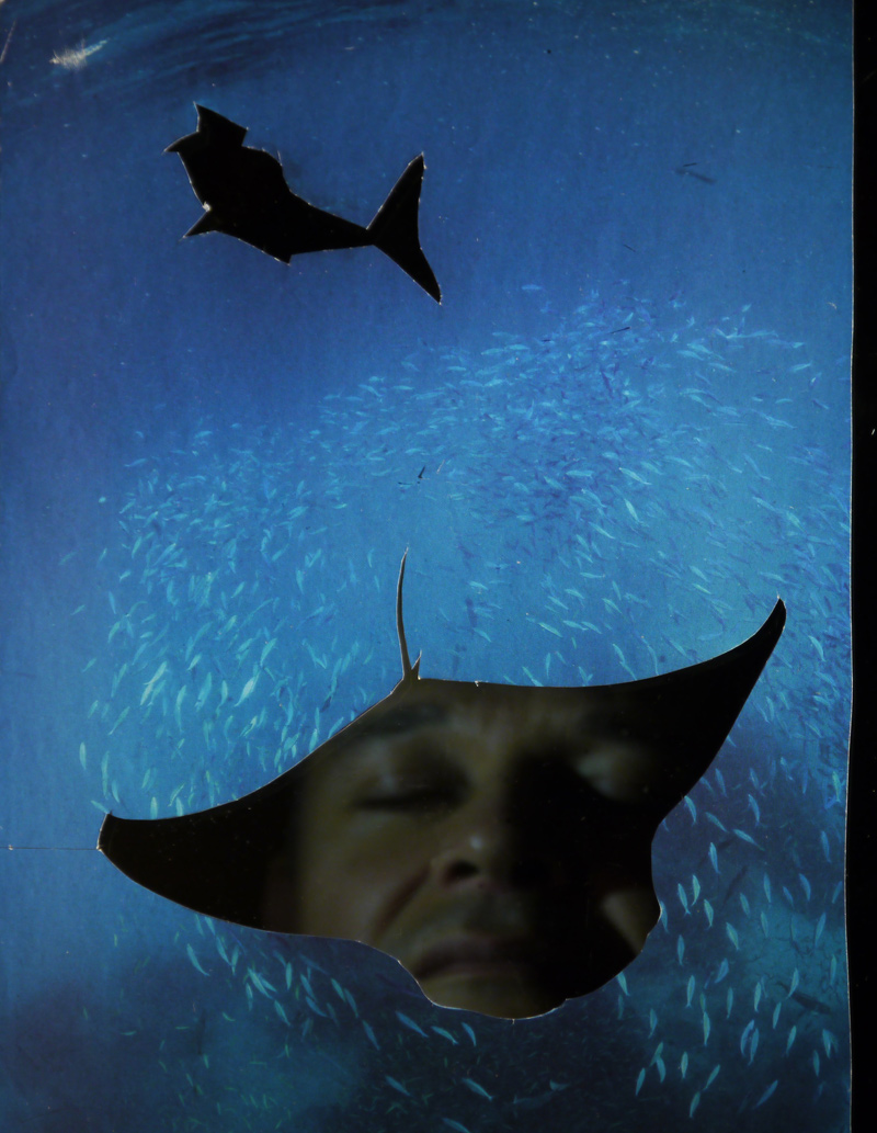 Extinction Ceremonies - Pablo